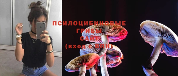 Альфа ПВП Осташков