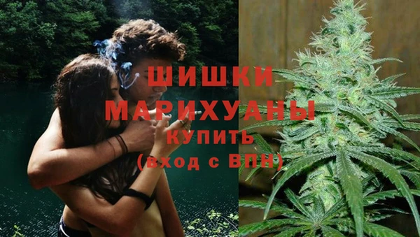Альфа ПВП Осташков