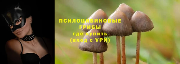 Альфа ПВП Осташков