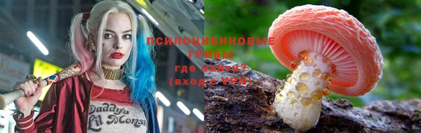 Альфа ПВП Осташков