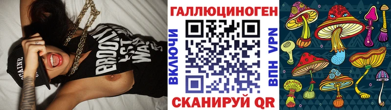 Псилоцибиновые грибы Psilocybe  как найти   Алушта 