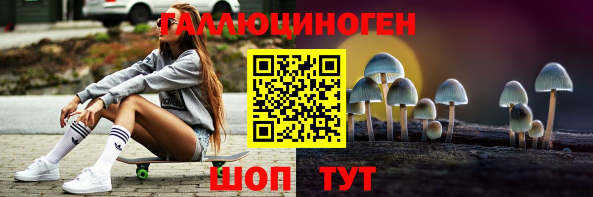 Псилоцибиновые грибы Cubensis  наркошоп  Алушта  Галлюциногенные грибы GOLDEN TEACHER  Вход с VPN 