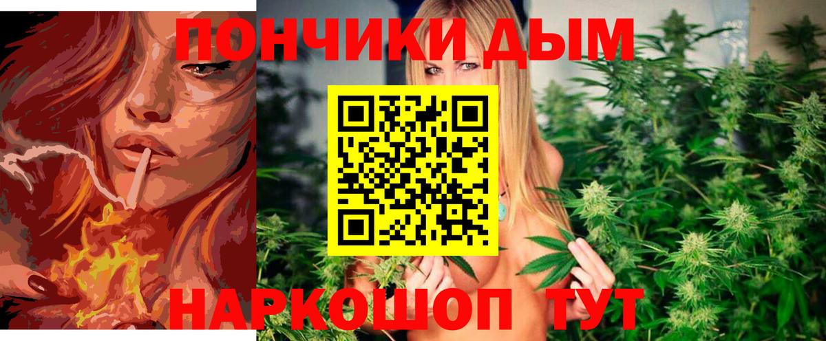 Каннабис планчик  Алушта  Канабис Amnesia  Бошки марихуана планчик  Канабис MAZAR 